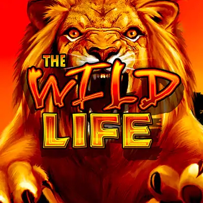 the wild life slot