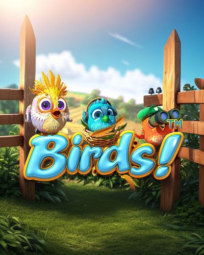 Birds!