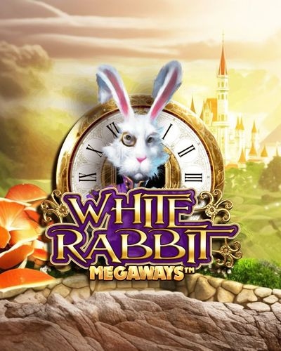 White Rabbit