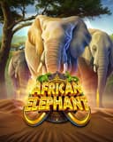 African Elephant