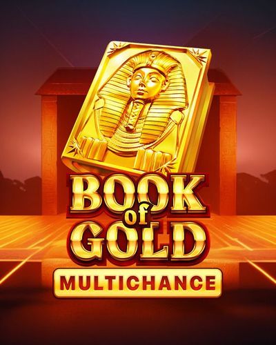 Book of Gold Multichance