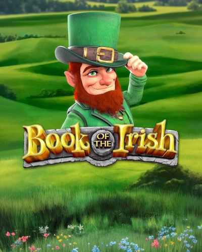 Book of the Irish