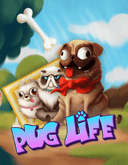 Pug Life