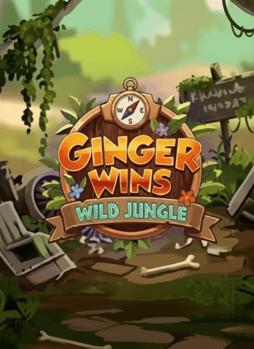 Ginger Wins