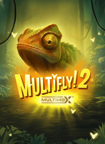 MultiFly 2